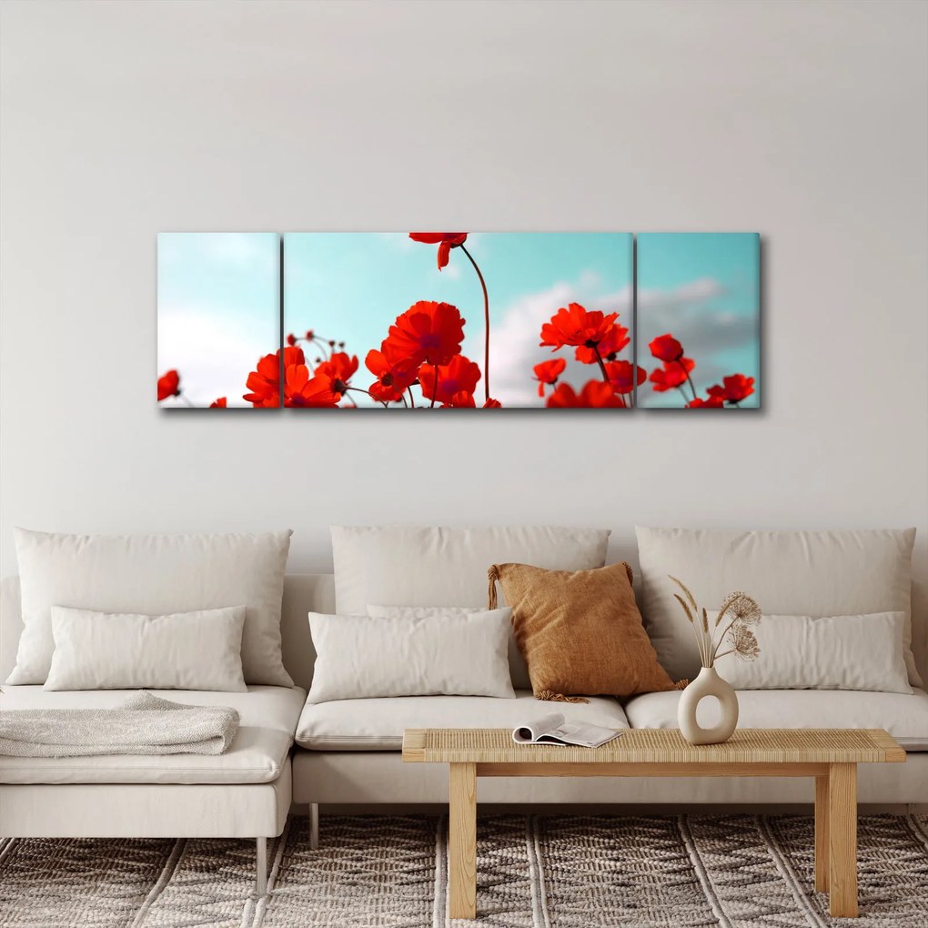 Obraz pola z jasnoczerwonymi kwiatami (170x50 cm)