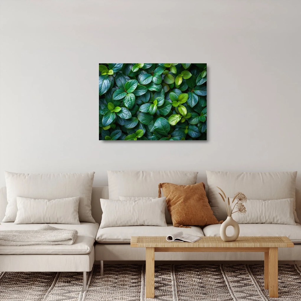 Obraz na szkle - Rośliny zielone (70x50 cm)