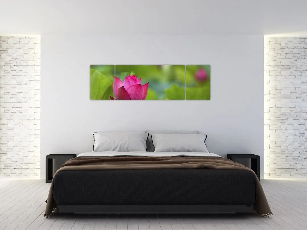 Obraz - roślina wodna (170x50 cm)
