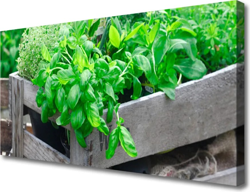 Obraz na płótnie Botaniczny Splot Liści