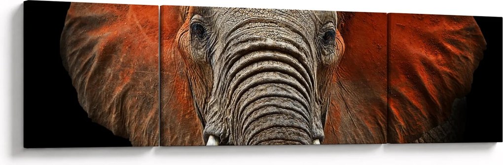 Obraz - Słonie z Tsavo (170x50 cm)