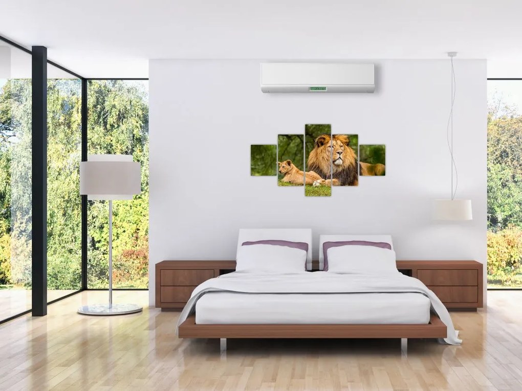 Obraz lwów (125x70 cm)