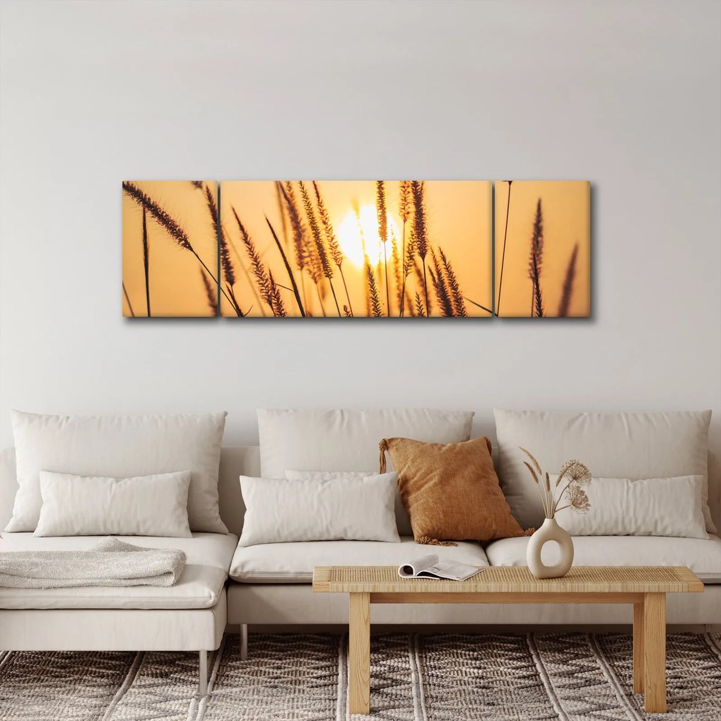 Obraz - Trawa w słońcu (170x50 cm)