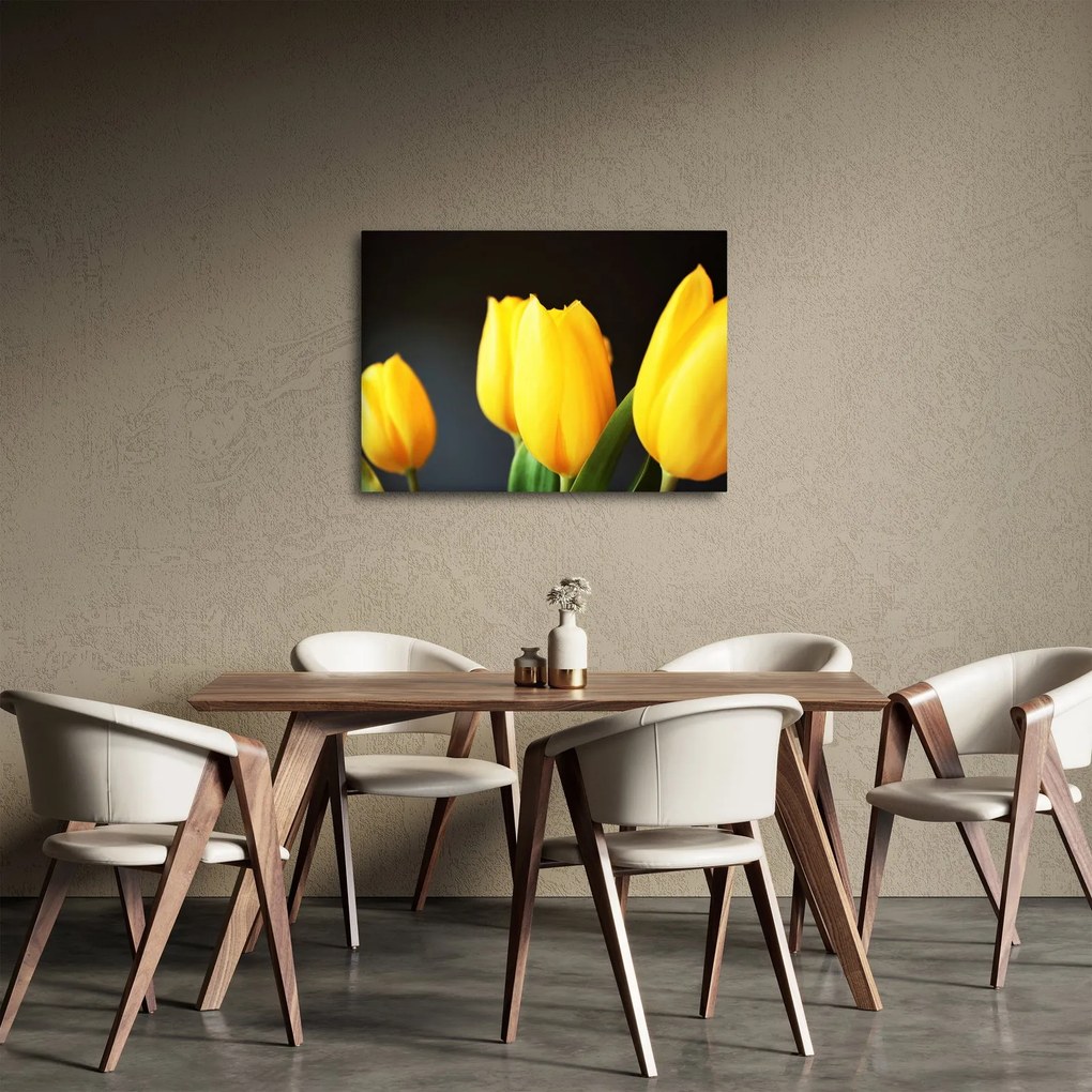 Obraz tulipanów (70x50 cm)