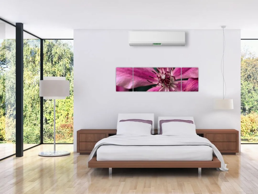 Obraz różowego kwiatu powojnika (170x50 cm)