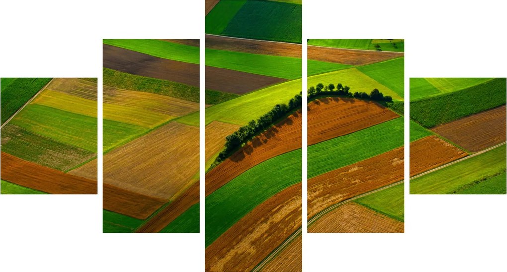 Obraz - Pola, łąki (125x70 cm)