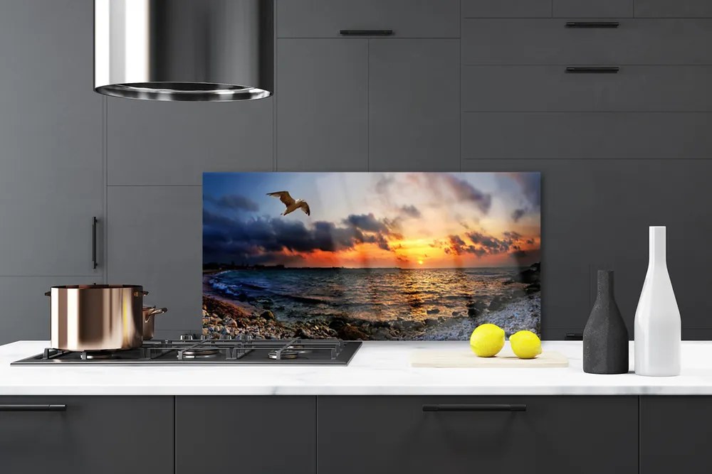 Panel Kuchenny Mewa Nad Brzegiem Oceanu