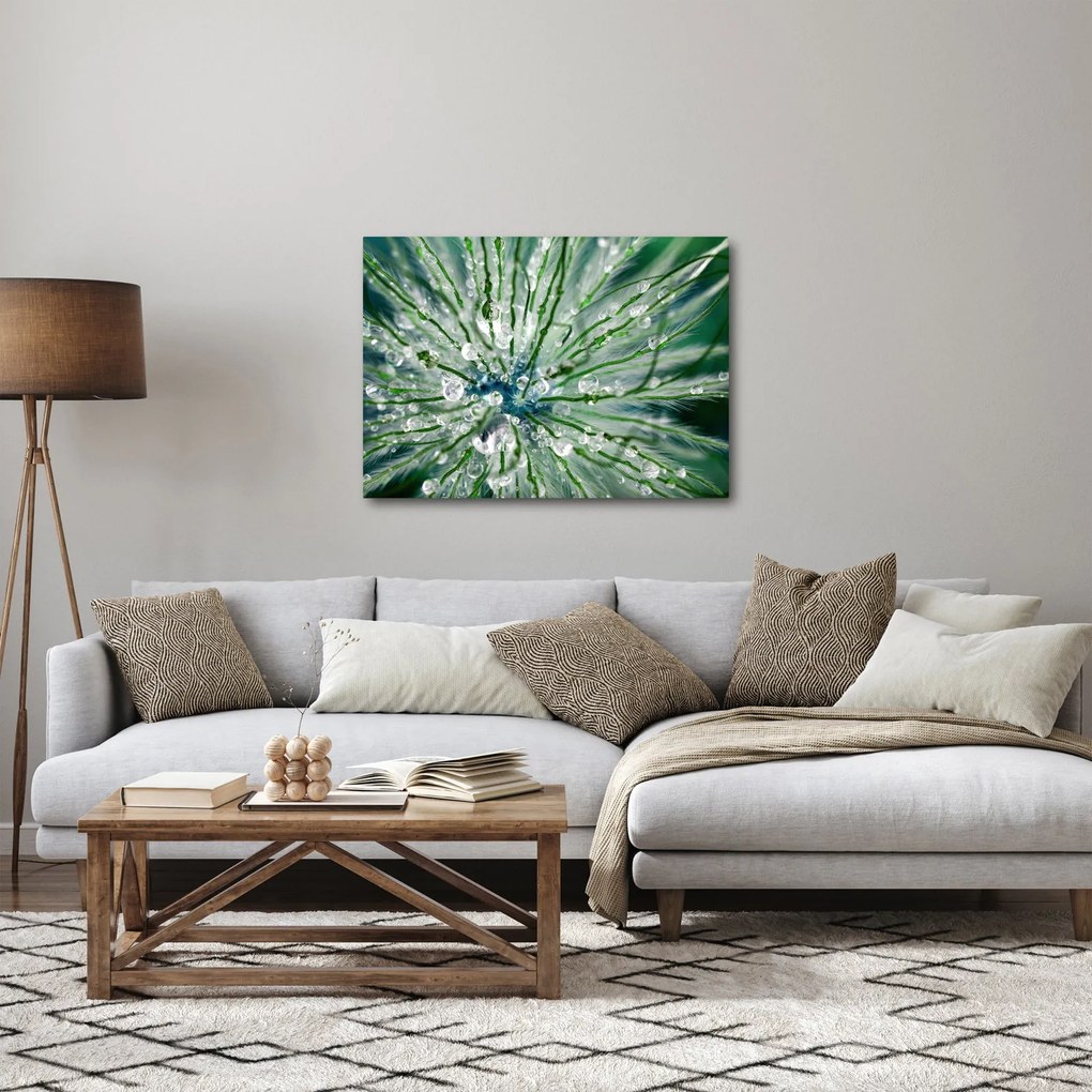 Obraz - Makro zdjęcie kwiatu (70x50 cm)