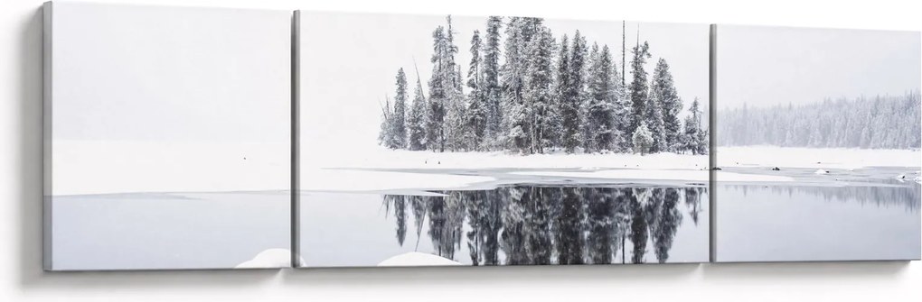 Obraz - Było biało (170x50 cm)