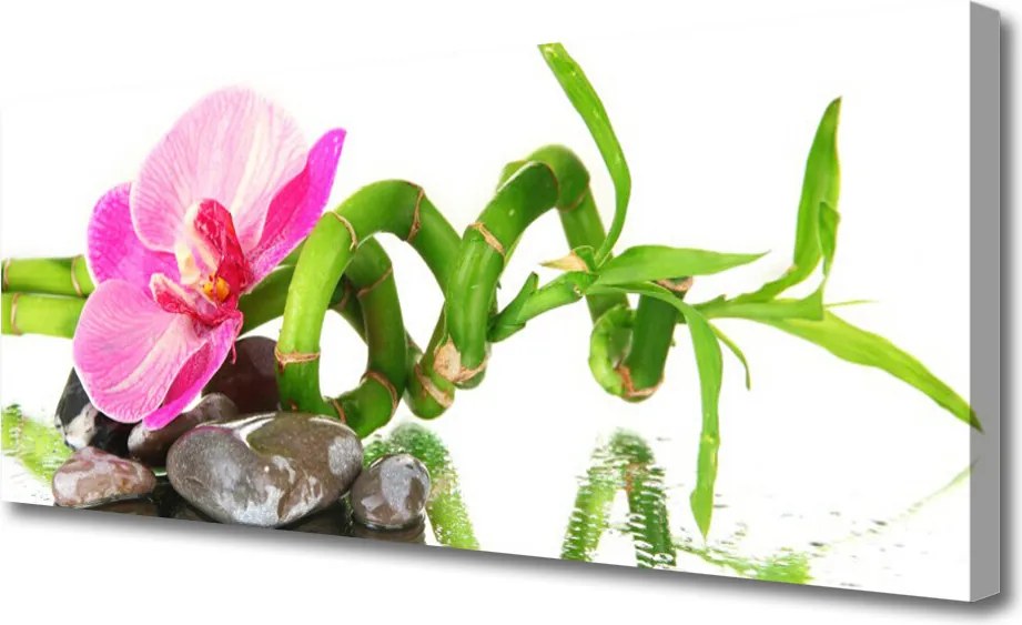 Obraz na płótnie Subtelny Rozkwit Natury