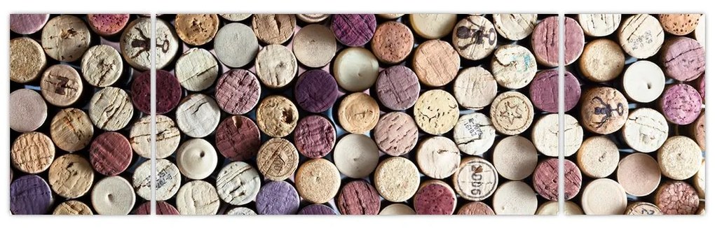 Obraz - Sezon na wino (170x50 cm)