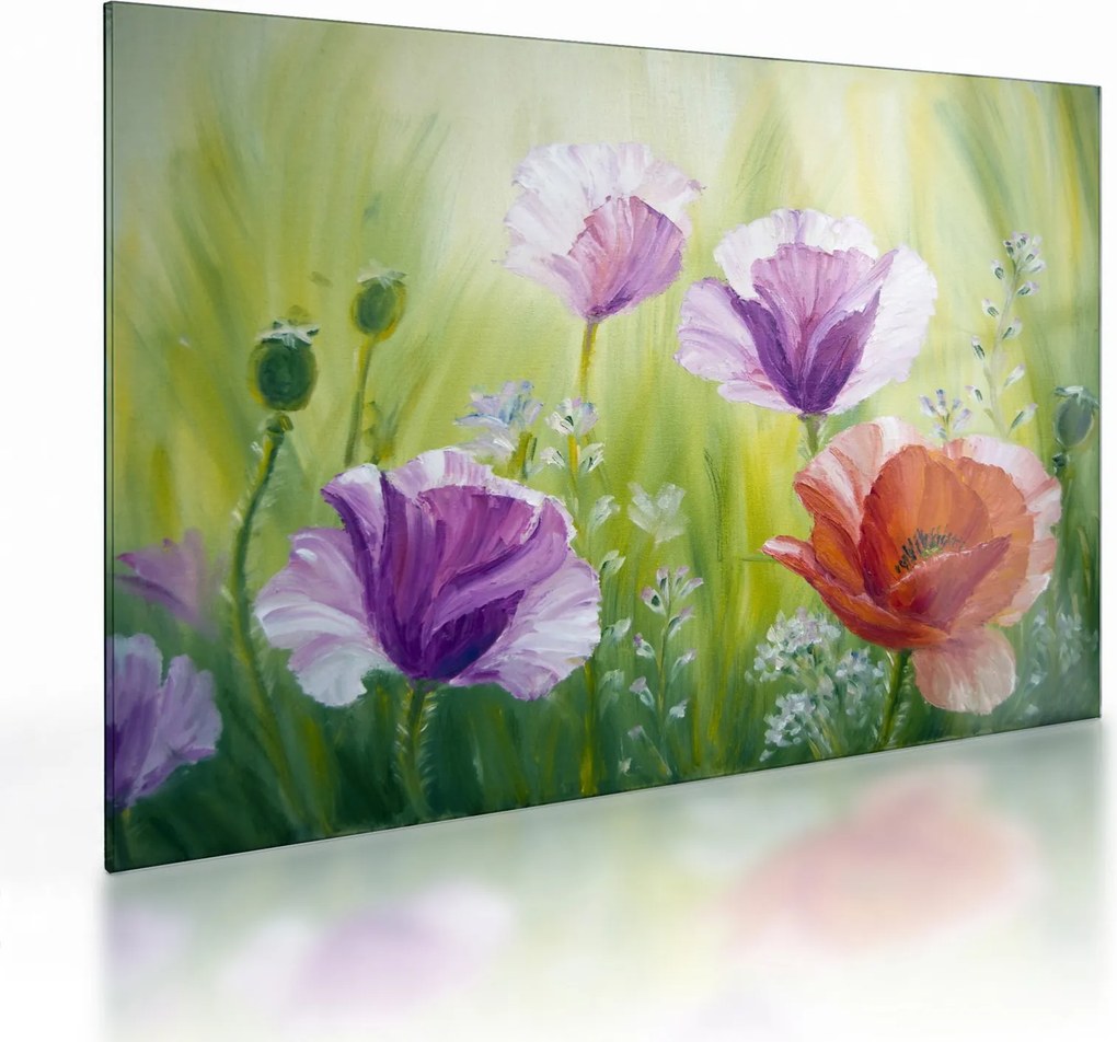 Obraz na szkle - Maki (70x50 cm)