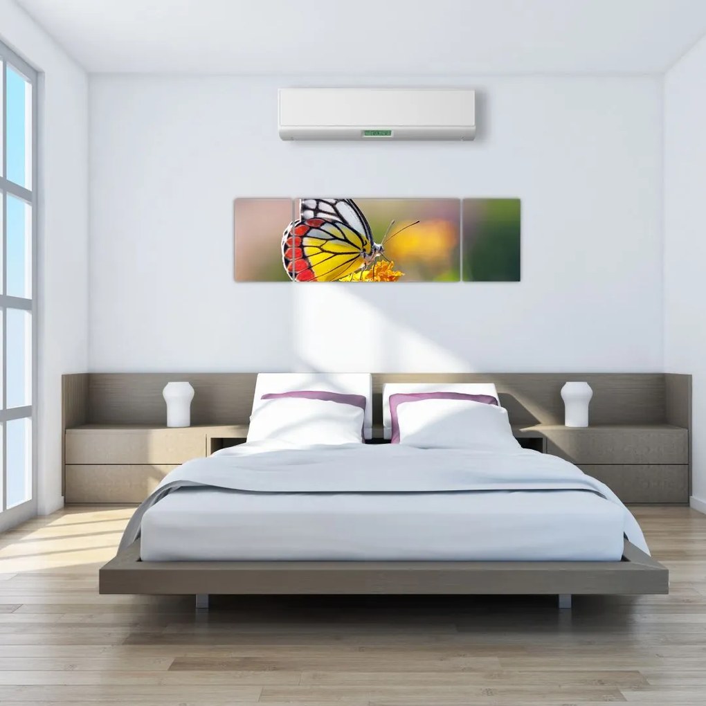 Obraz motyla na kwiatku (170x50 cm)