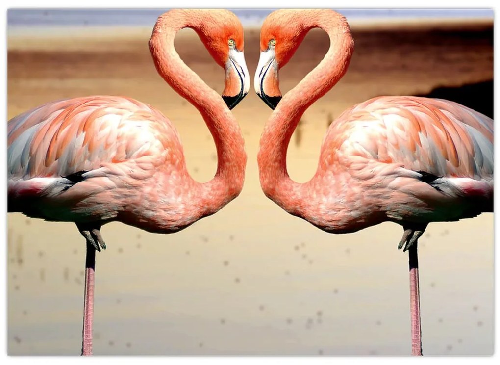 Obraz - dwa flamingi (70x50 cm)