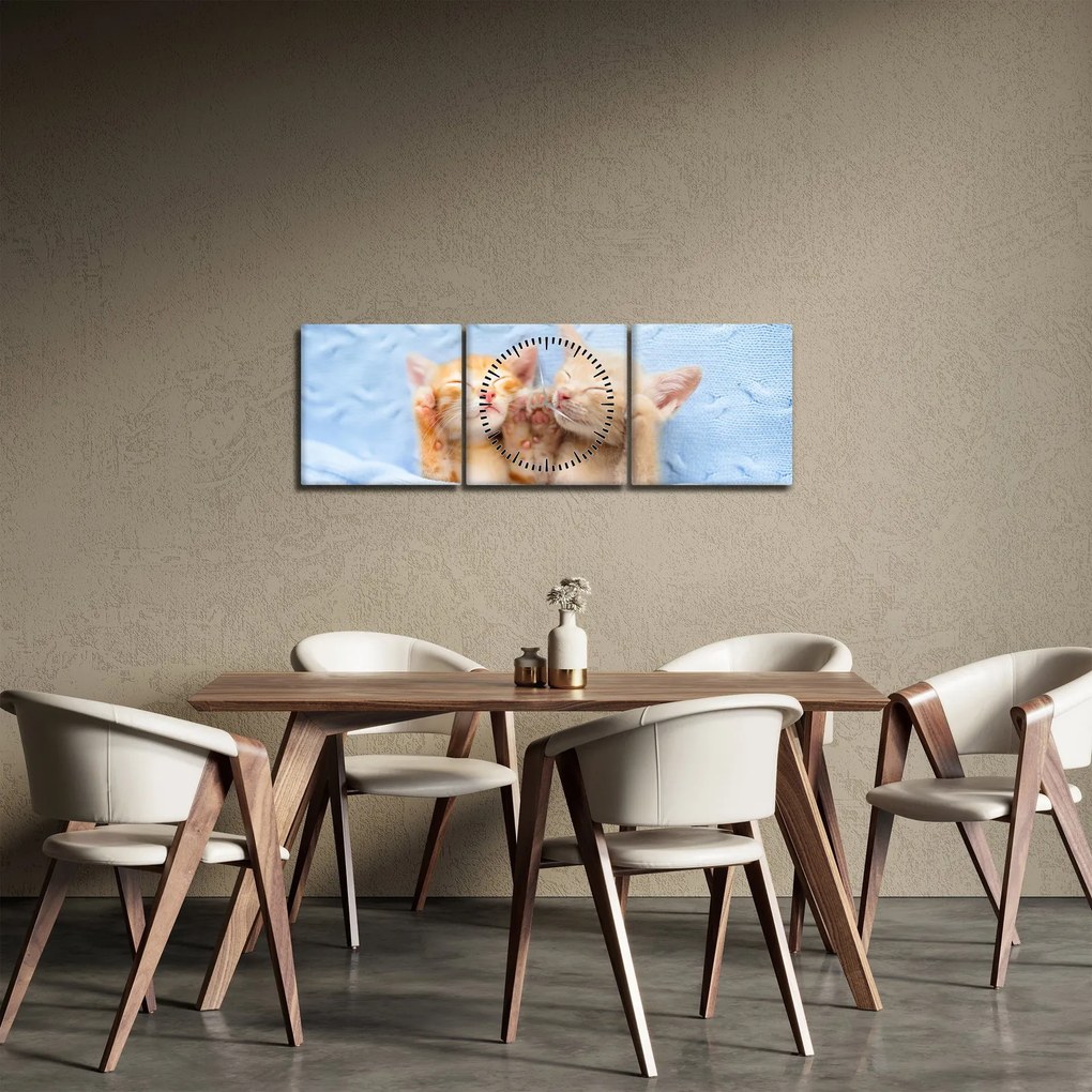 Obraz - Śpiące kocięta (z zegarem) (90x30 cm)