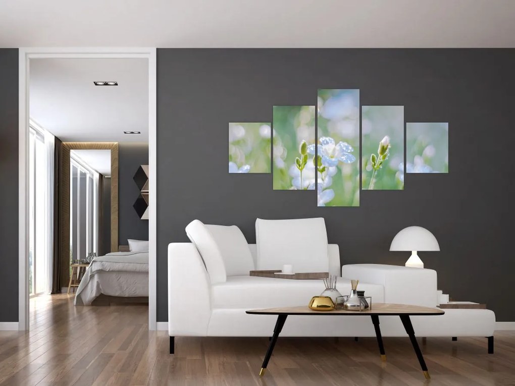 Obraz - Delikatne kwiaty (125x70 cm)