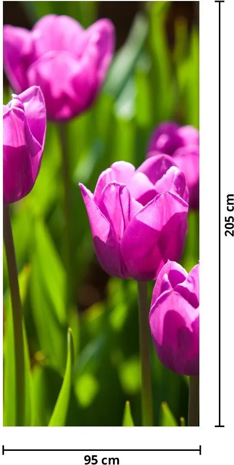 Fototapeta na drzwi - Tulipany na łące (95x205cm)