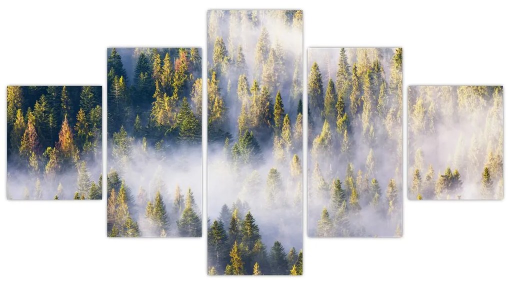Obraz drzew we mgle (125x70 cm)