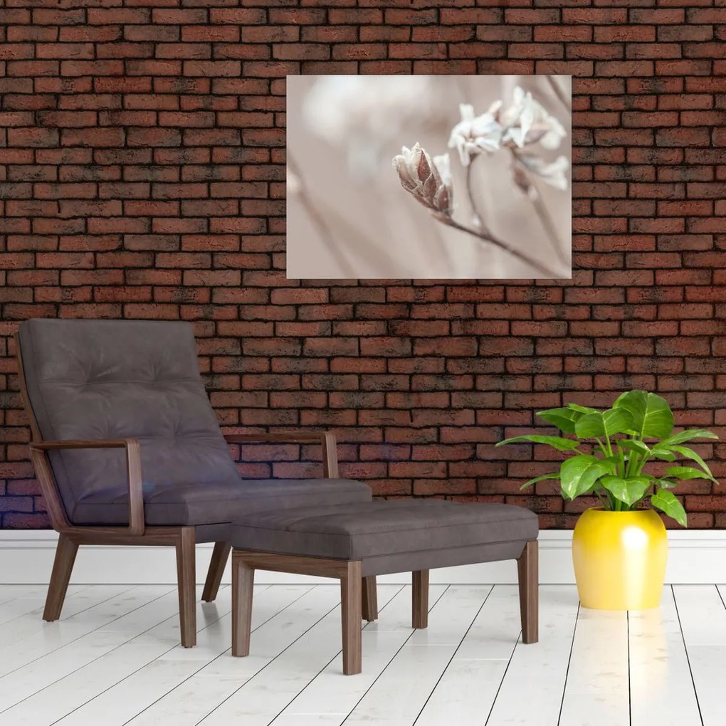 Obraz - Szczegół gałęzi (70x50 cm)