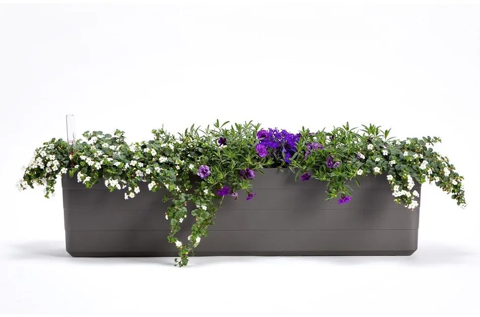 Plastia Skrzynka samonawadniająca Berberis 80, antracit + zielony, 80 cm