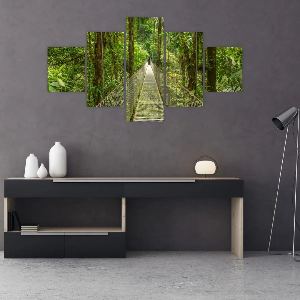 Obraz - Most wiszący (125x70 cm)