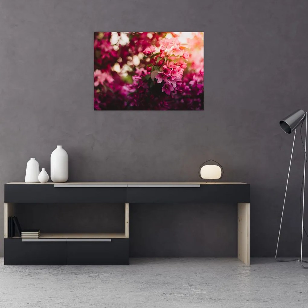 Obraz na szkle - kwiaty malwy (70x50 cm)