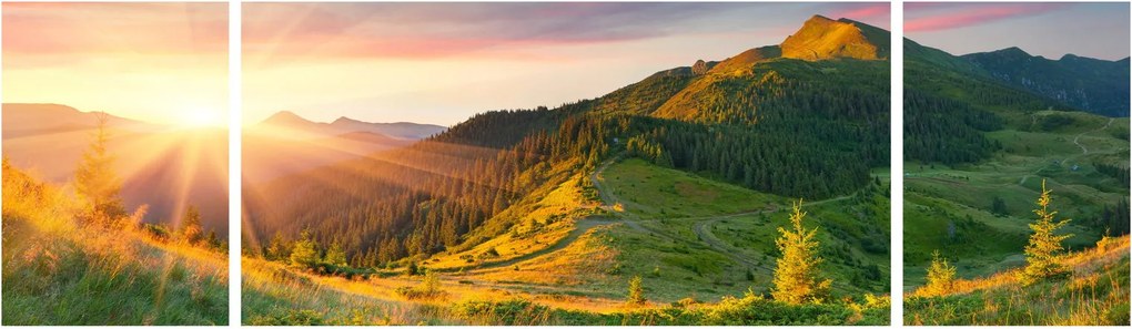 Obraz - Letni krajobraz (170x50 cm)