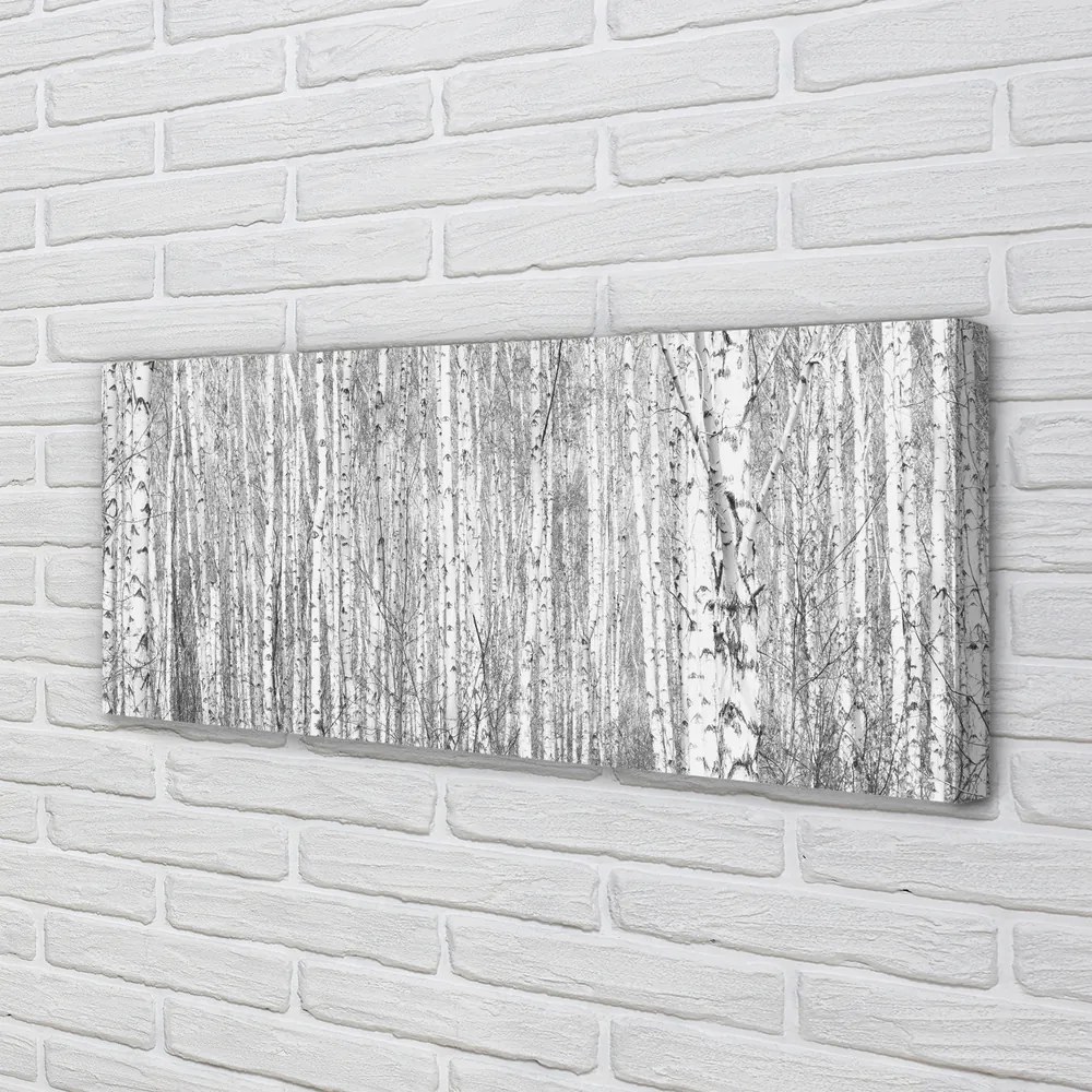 Obraz na płótnie Czarno-Biały Las