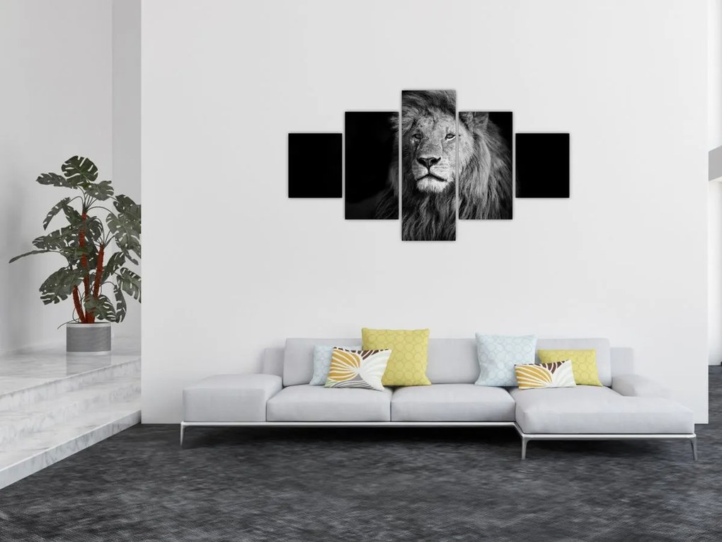 Obraz - Lew, czarno-biały (125x70 cm)