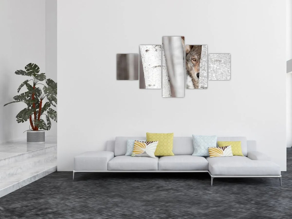 Obraz - Wilk (125x70 cm)