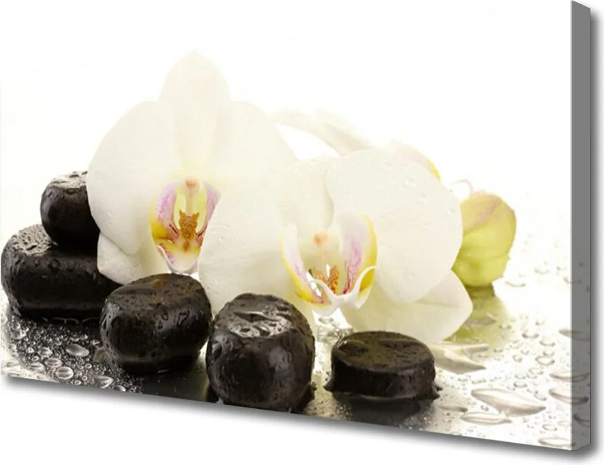 Obraz canvas Równowaga: Kwiat i Gładki Kamień