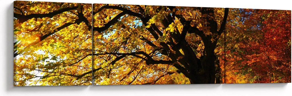 Obraz jesieni (170x50 cm)