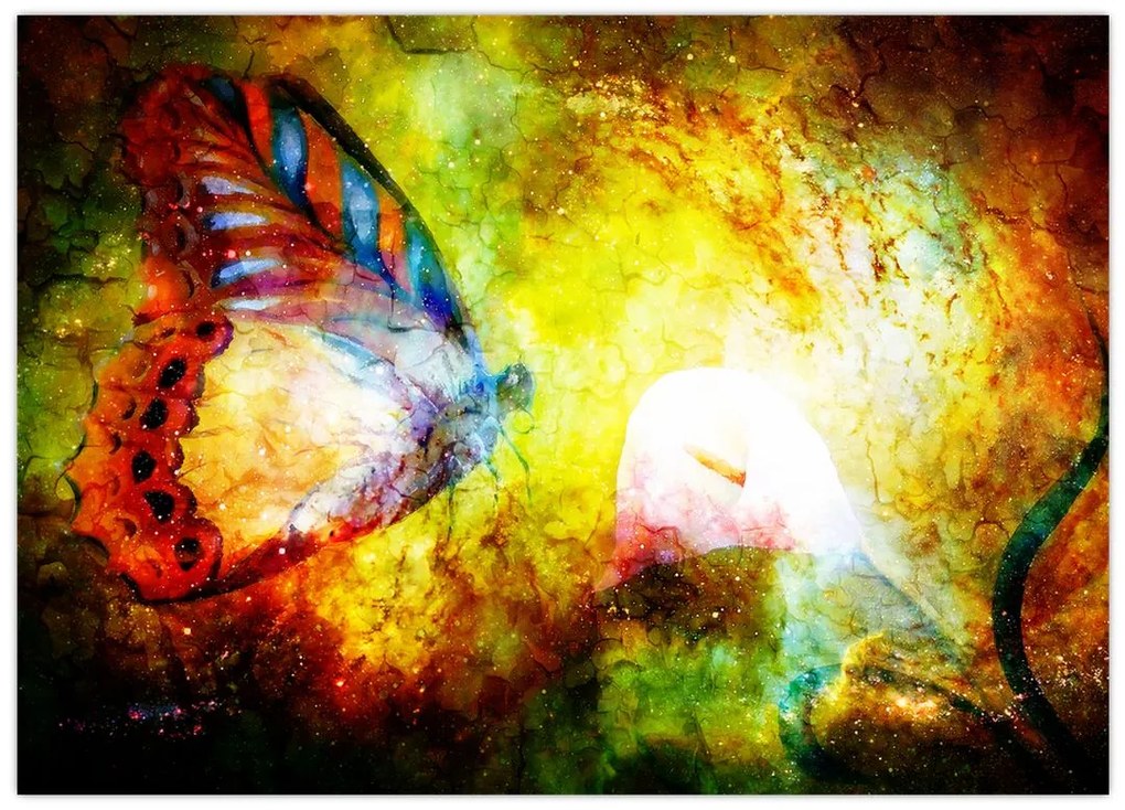 Obraz na szkle - Kosmiczny motyl (70x50 cm)