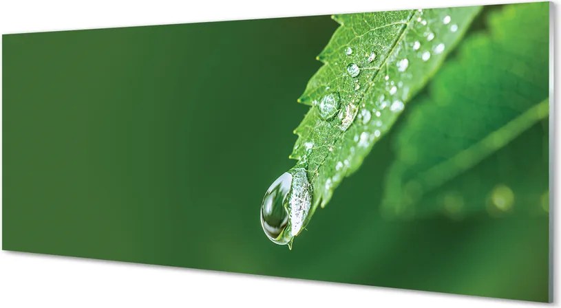 Szklany Panel Poranny Detal na Liściu