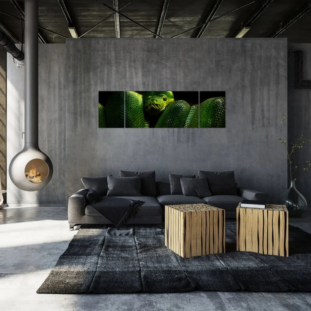 Obraz - Zielony wąż (170x50 cm)