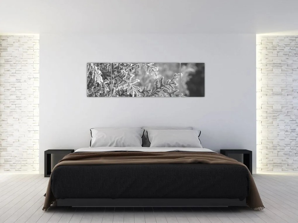 Obraz - Las świerkowy (170x50 cm)