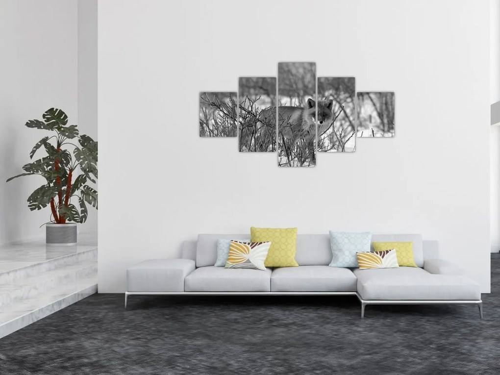 Obraz - Lis w zimie (125x70 cm)