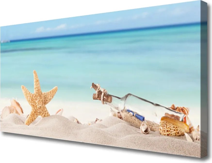 Obraz canvas Nadmorskie Skarby na Piasku