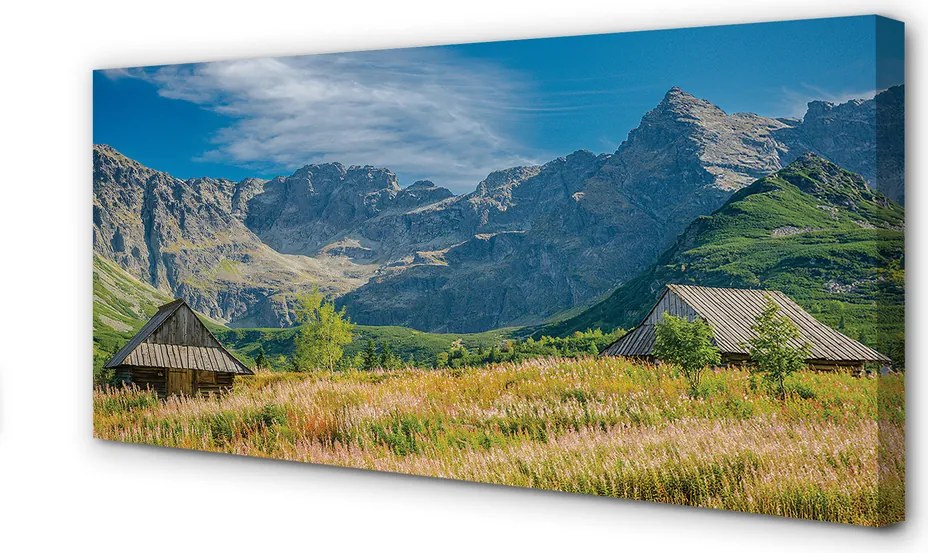 Zdjęcie na płótnie Góry, Pola i Domki