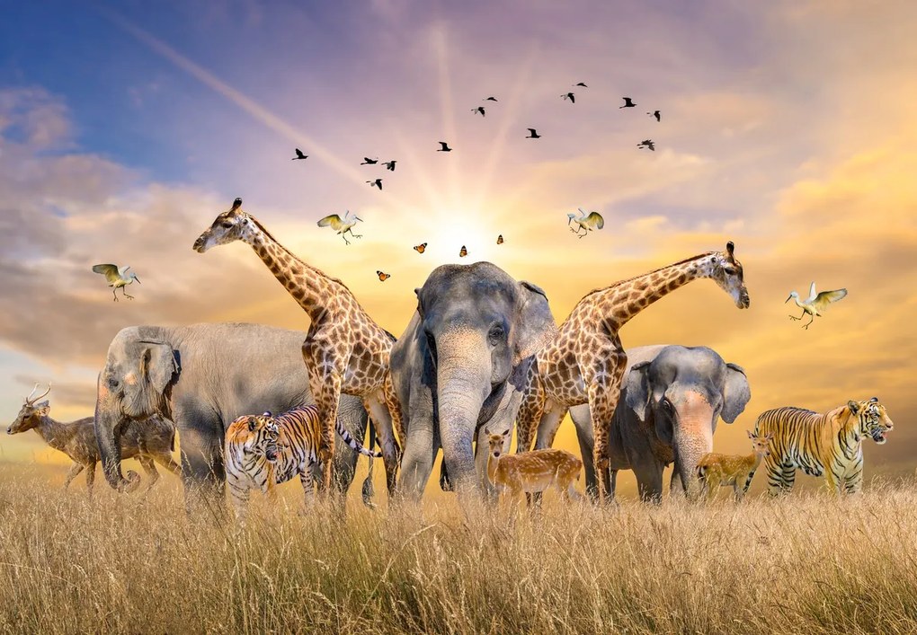 Fototapeta - Safari (196x136 cm)