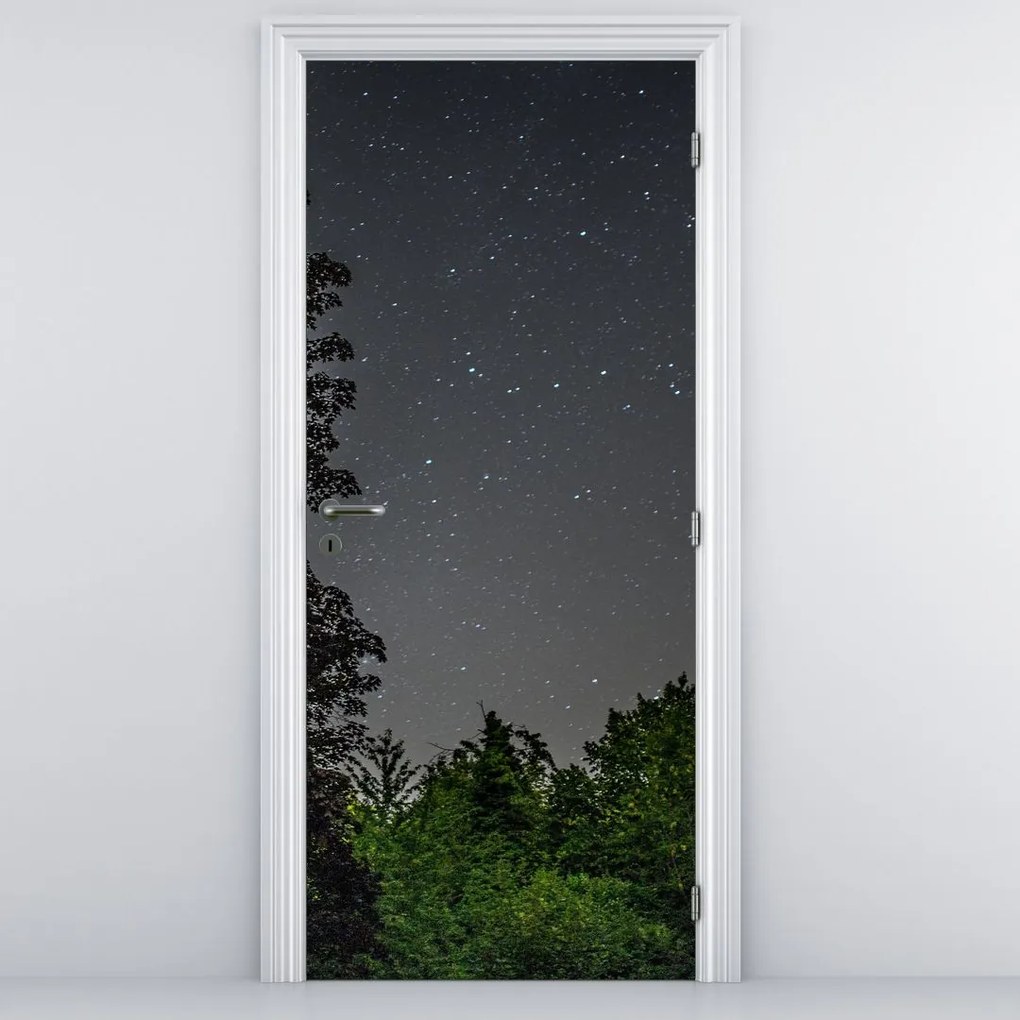 Fototapeta na drzwi - Nocne niebo (95x205cm)