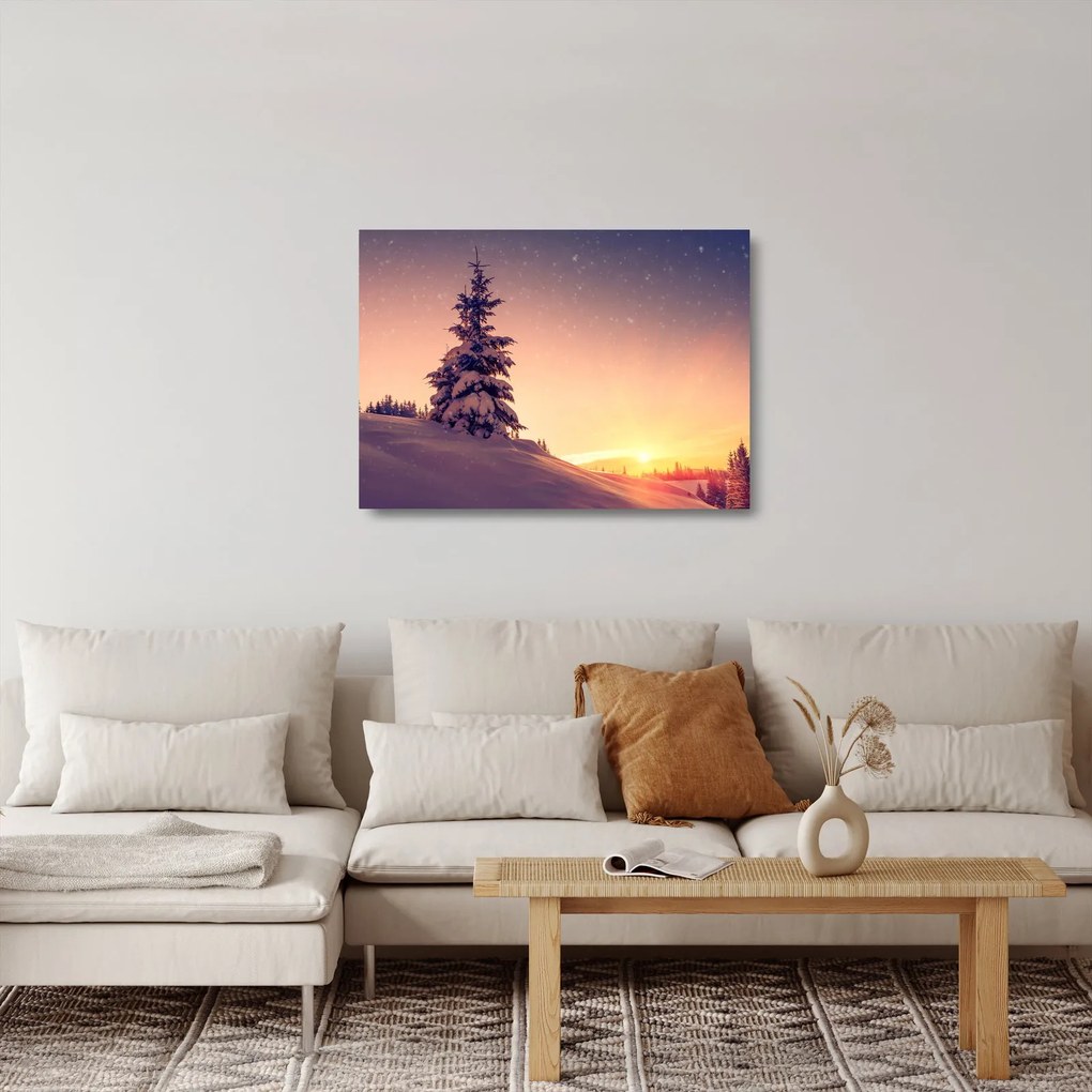 Obraz na szkle - ośnieżone drzewo na łące (70x50 cm)