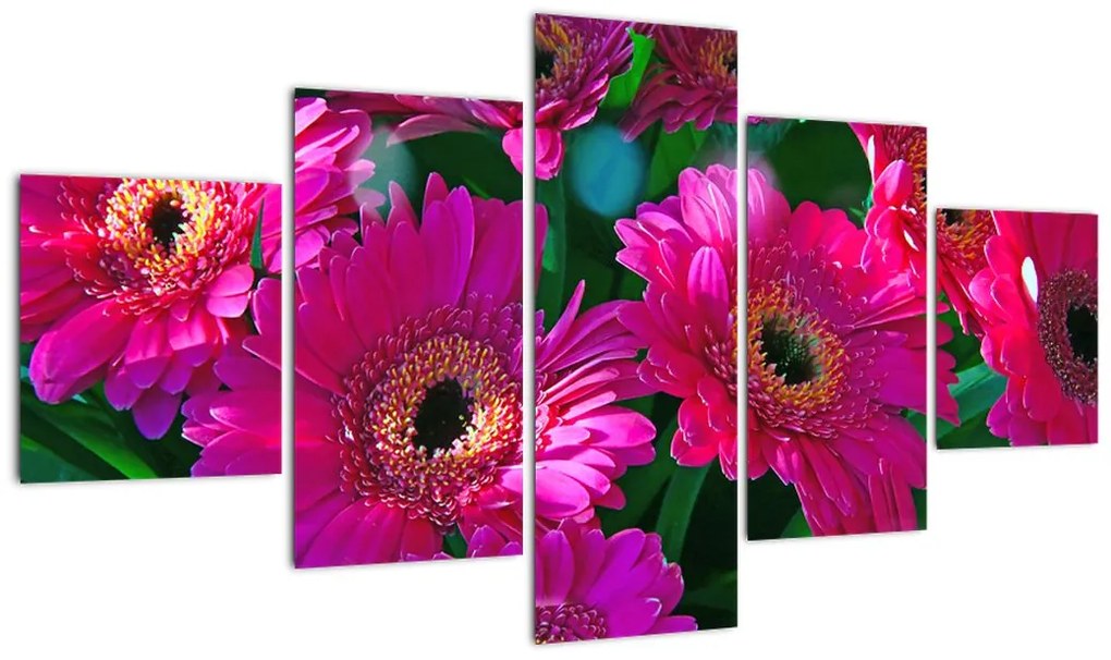 Obraz - kwiaty (125x70 cm)