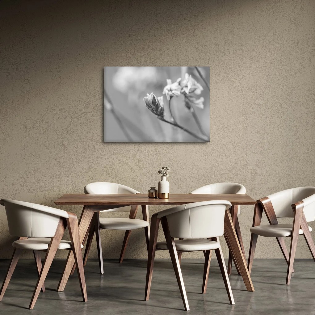Obraz - Kwitnący kwiat (70x50 cm)