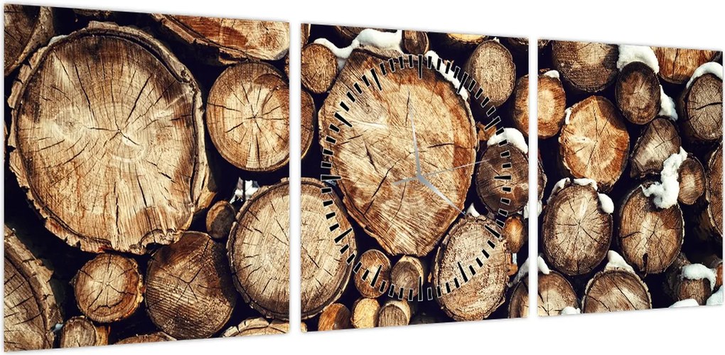 Obraz - Drewno w śniegu (z zegarem) (90x30 cm)