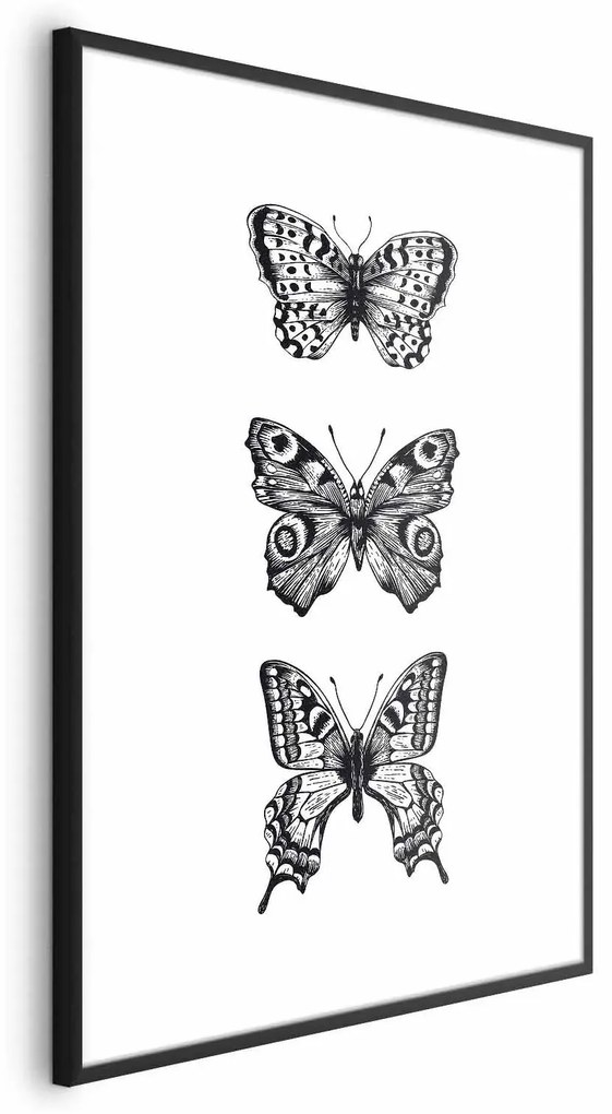 Plakat Trzy motyle 29,7x42 cm z ramą czarną bez marginesu ARTGEIST B