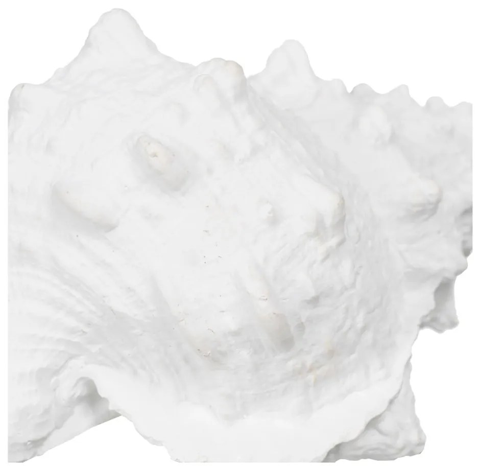 Figurka z żywicy polimerowej (wysokość 12 cm) Seashell – Ixia