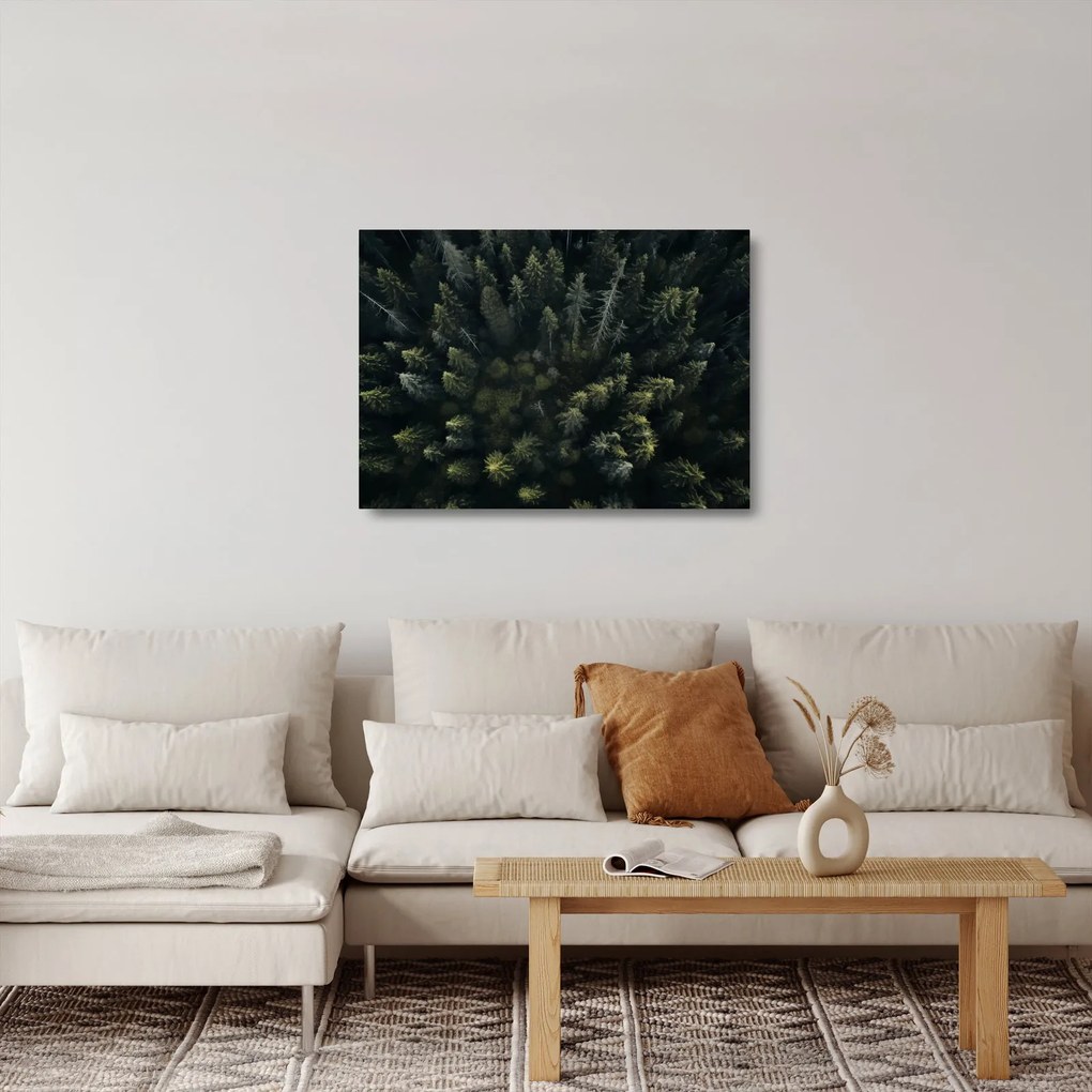 Obraz na szkle - Las (70x50 cm)