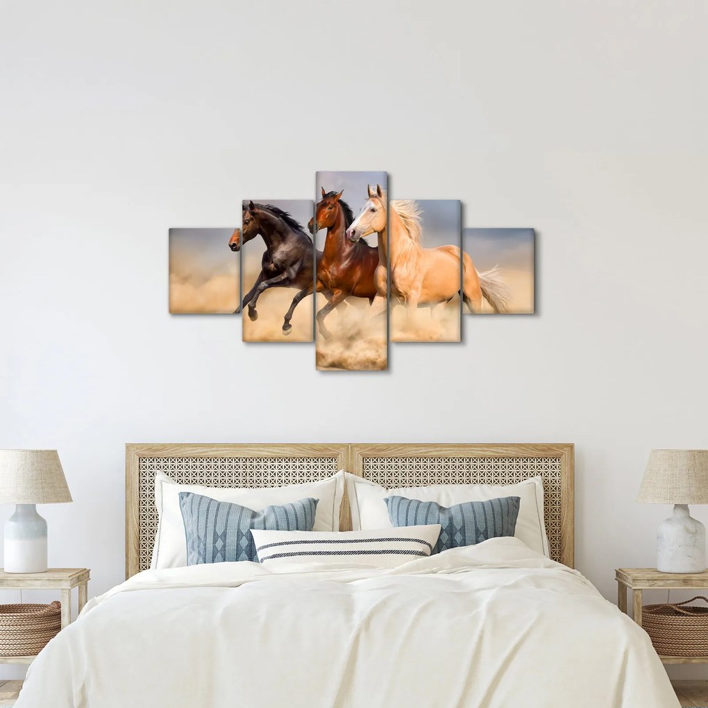 Obraz - Dzikie konie (125x70 cm)