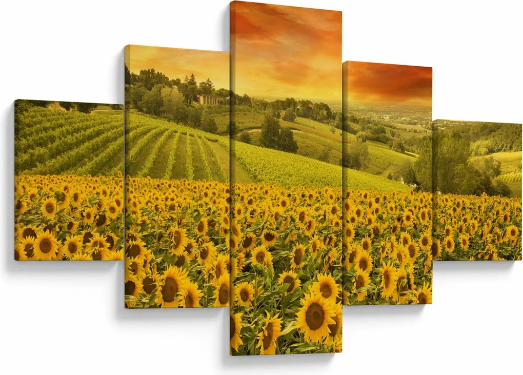 Obraz - Pole słoneczników (125x70 cm)